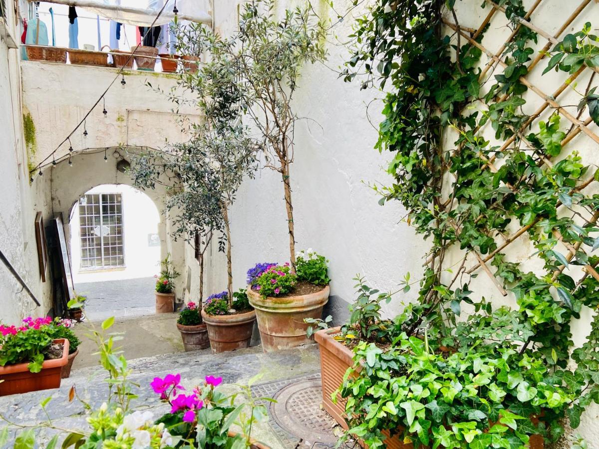 Casa Viggiano In The Heart Of Amalfi Daire Dış mekan fotoğraf